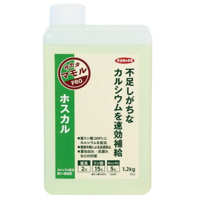ホスカル