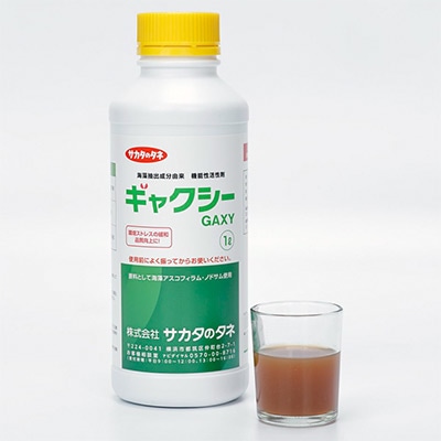 ギャクシー