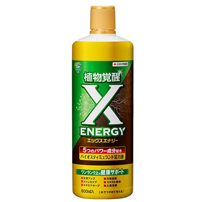 X-ENERGY（エックスエナジー）