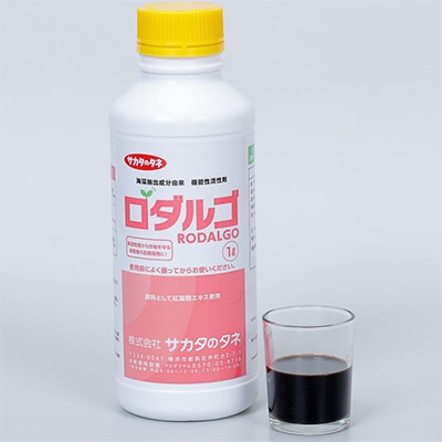 ロダルゴ