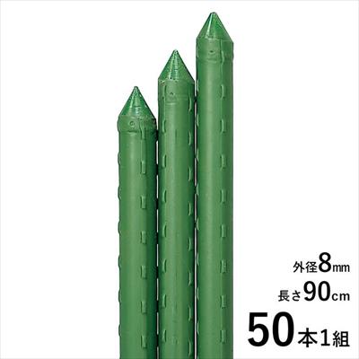 園芸用イボ竹