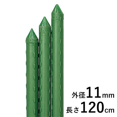 園芸用イボ竹