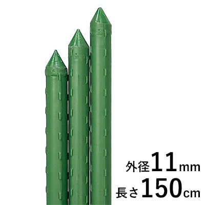 園芸用イボ竹