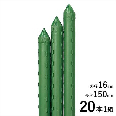園芸用イボ竹