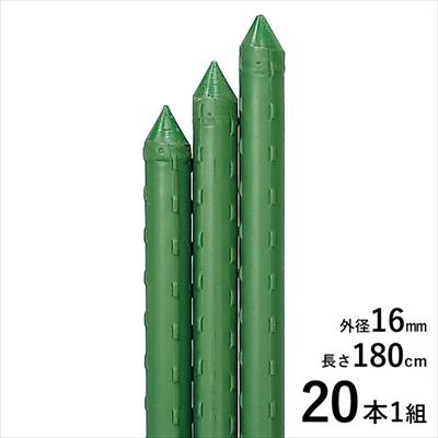 園芸用イボ竹