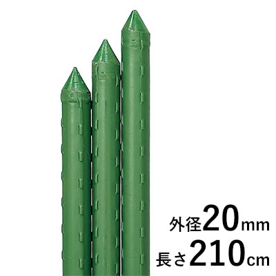 園芸用イボ竹