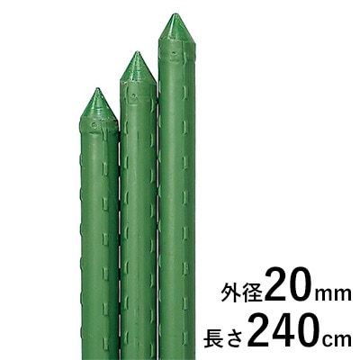 園芸用イボ竹