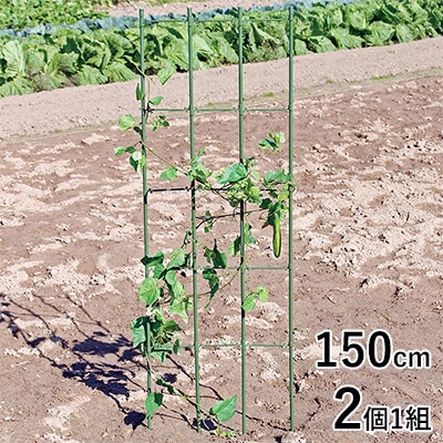 らくだな