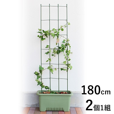 らくだな