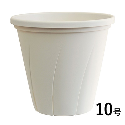 根はり鉢10号