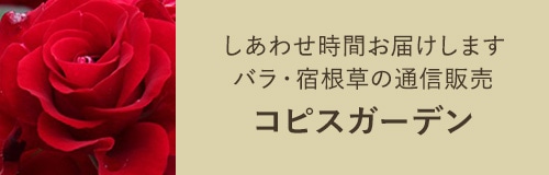 コピスガーデン