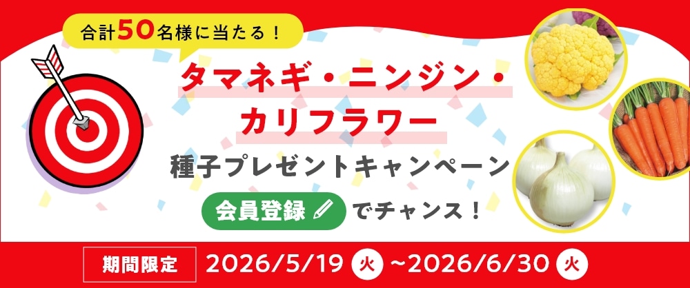 新規会員登録の抽選キャンペーン
