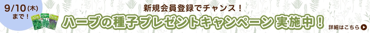ハーブの種子プレゼントキャンペーン