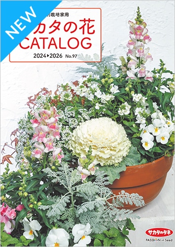 『サカタの花カタログ』 2024-2026