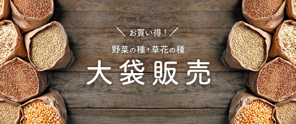 野菜の種・草花の種 大袋販売 大容量でお買い得!