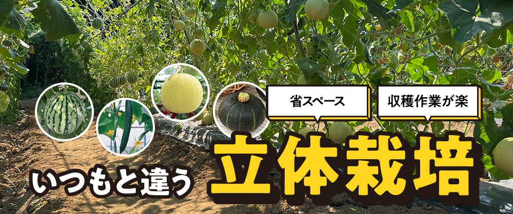 省スペース 収穫作業が楽 いつもと違う立体栽培