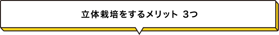 立体栽培をするメリット ３つ