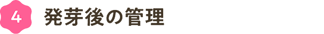 ④発芽後の管理
