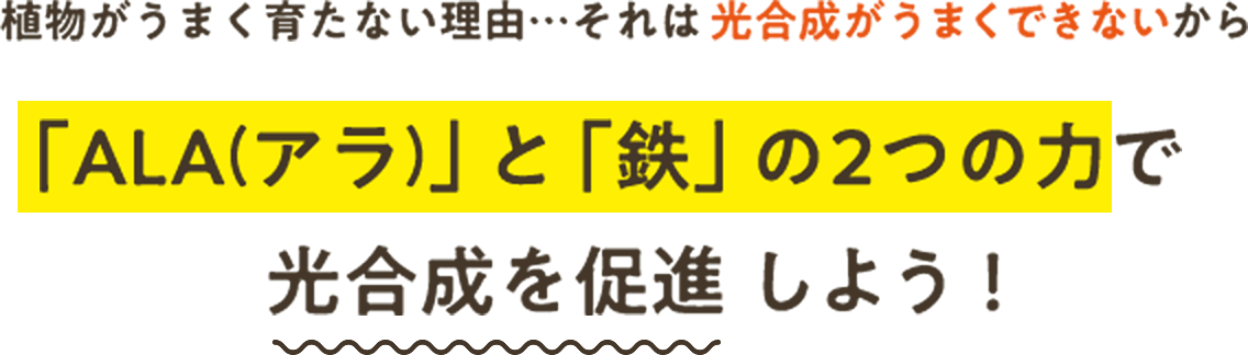 植物がうまく育たない理由…それは光合成がうまくできないから 「ALA(アラ)」と「鉄」の2つの力で光合成を促進 しよう！