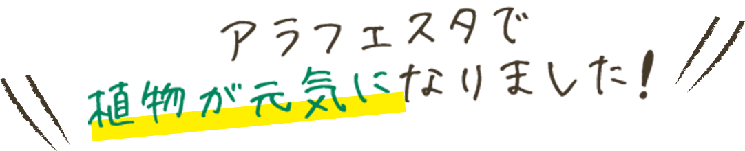アラフェスタで植物が元気になりました！