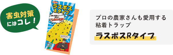 害虫対策にはコレ!プロの農家さんも愛用する粘着トラップラスボスRタイプ
