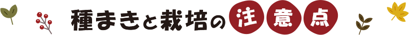 種まきと栽培の注意点