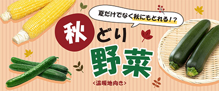 夏だけでなく秋にもとれる!?秋どり野菜＜温暖地向き＞