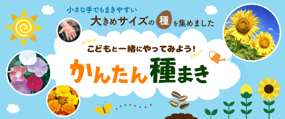 こどもと一緒にやってみよう！かんたん種まき