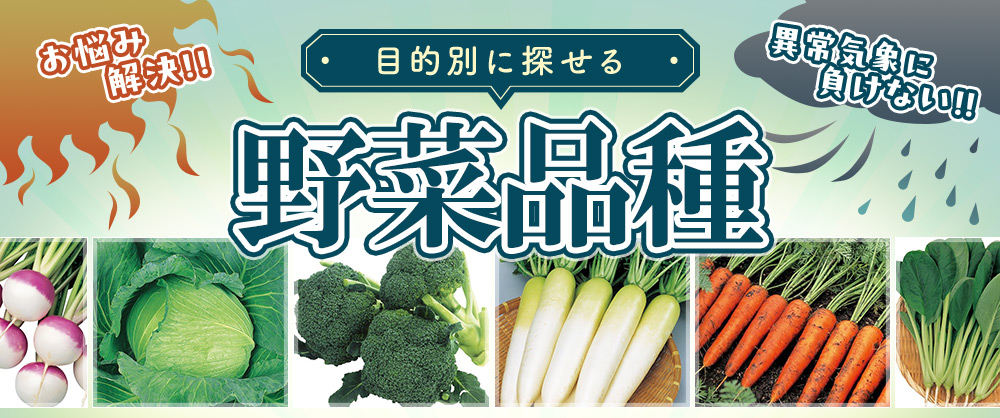 目的別に探せる野菜品種 お悩み解決！異常気象に負けない！