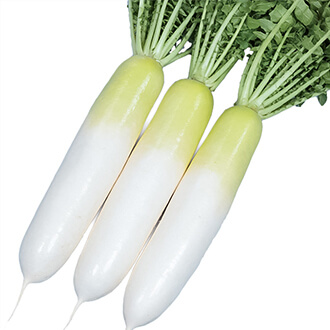 冬の守
