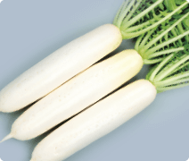 夏相撲