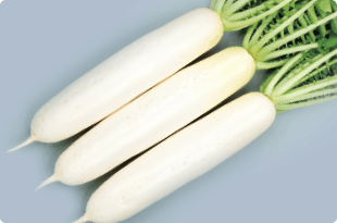 夏相撲