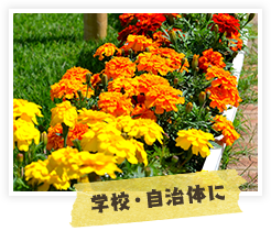 学校・自治体に