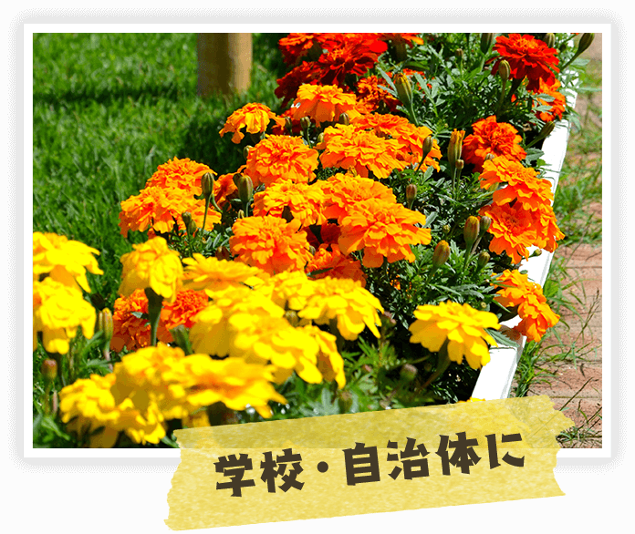 学校・自治体に