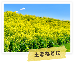 土手などに