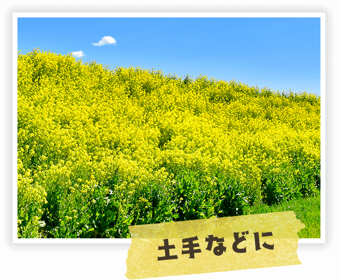 土手などに