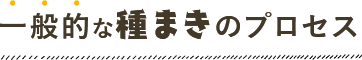 一般的な種まきのプロセス
