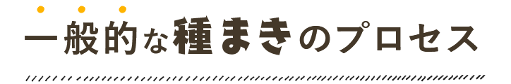 一般的な種まきのプロセス