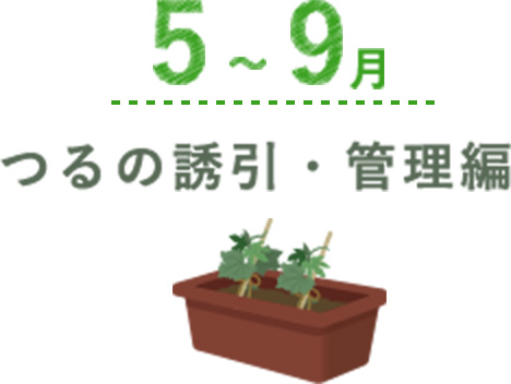 5月～9月 つるの誘引・管理編