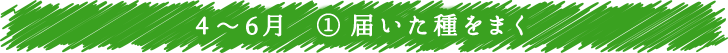 4～6月　① 届いた種をまく
