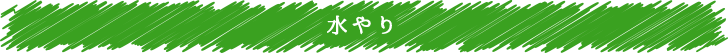 水やり
