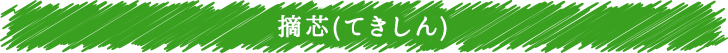摘芯（てきしん）