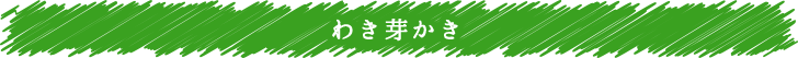 わき芽かき