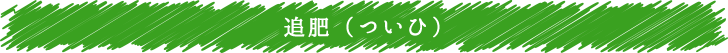 追肥（ついひ）