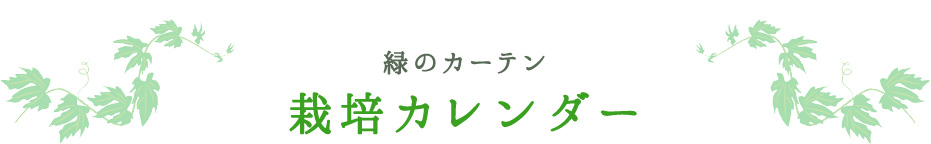 緑のカーテン 栽培カレンダー