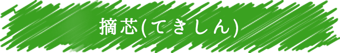 摘芯（てきしん）