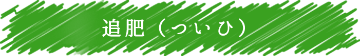 追肥（ついひ）
