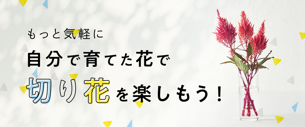 もっと気軽に 自分で育てた花で切り花を楽しもう！