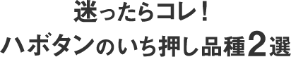 迷ったらコレ！ハボタンのいち押し品種2選
