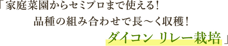 「家庭菜園からセミプロまで使える!品種の組み合わせで長~く収穫!ダイコン リレー栽培」